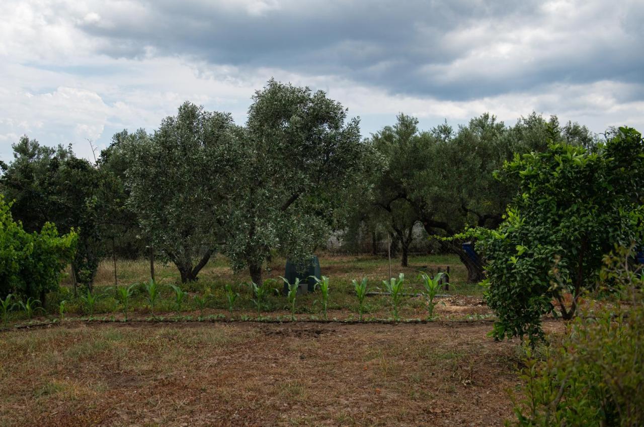 Agrikia Tis Vasilikis Lägenhet Ormília Exteriör bild